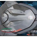 CARBONVANI - MV AGUSTA BRUTALE 800 CARBON FIBER Twin Tail (Passenger Seat Cowl) Set (2017+)